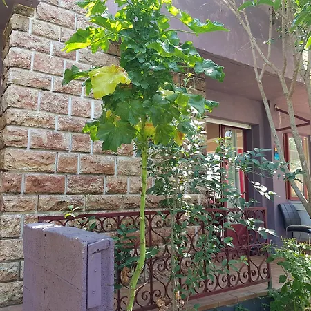 בית אירוח Maison Fi Cote Nature Et Relax, Et Centres A 2 Pas, 3 Triples Et Privees, Parties Communes , Jardin Arbore, Tonnelles, Barbecue ולראס-פלאז'
